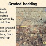 Definition Of Graded Bedding